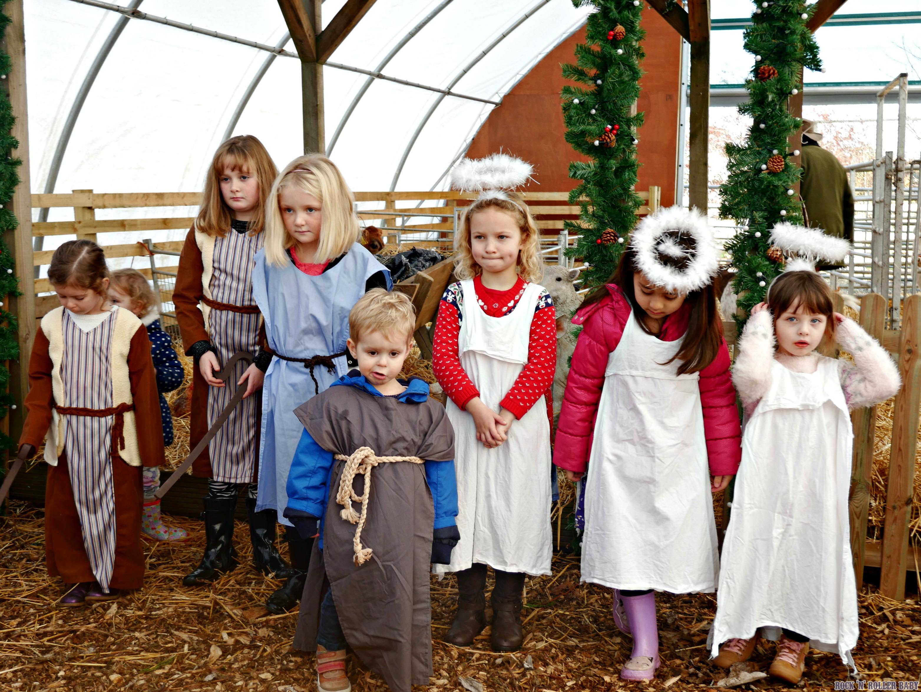 willowsfarmpost11 RocknRollerBaby